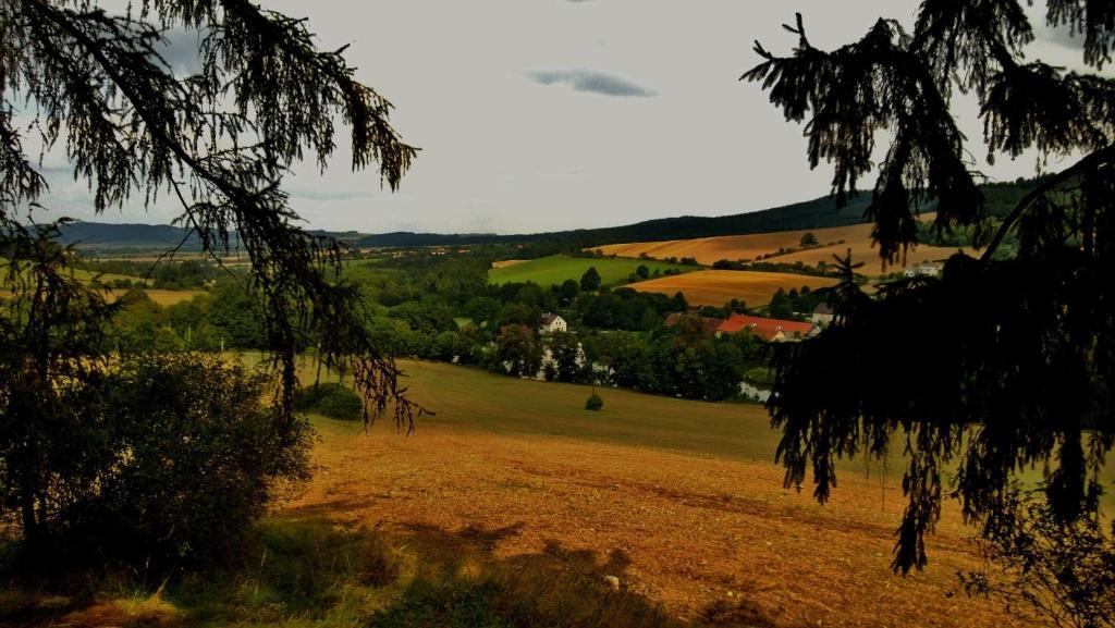 Pension Mlyn Stare Mitrovice Sedlec-Prcice Экстерьер фото
